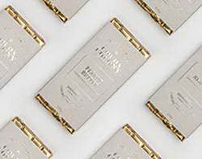 Дизайнер-модельер Ұлттық ұлан сапына қосылды