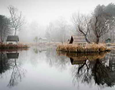 Абай облысында 1500-ден астам жұмысшының еңбек құқығы қорғалды