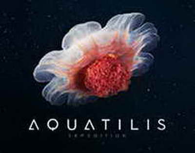 Наурыз с роботами, кокпаром и ярмарками: куда сходить в Астане в праздничные дни