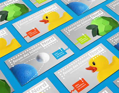 Kartof bazarında nə baş verir? - Ekspert bahalaşmanın səbəblərini AÇIQLAYIR